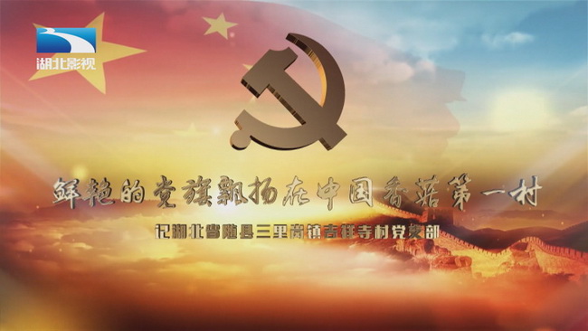 《榜样湖北》：鲜艳的党旗飘扬在中国香菇第一村